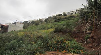 Terrain à Funchal (Santa Maria Maior) de 5 090 m²
