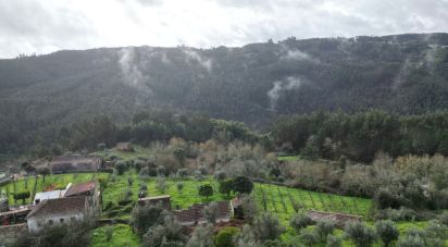 Maison rustique T2 à Figueiró dos Vinhos e Bairradas de 145 m²