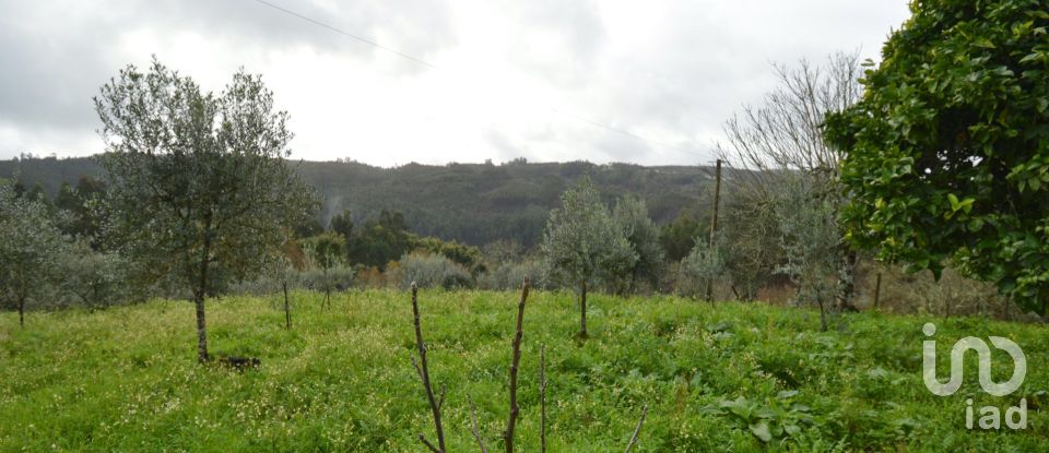 Casa de Campo T2 em Figueiró dos Vinhos e Bairradas de 145 m²