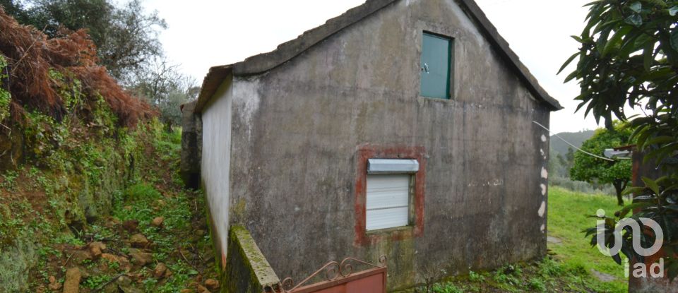 Casa de Campo T2 em Figueiró dos Vinhos e Bairradas de 145 m²