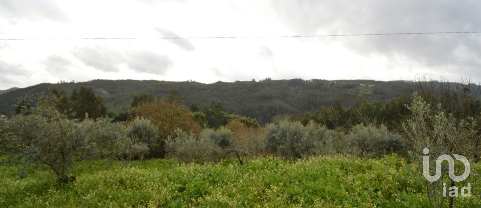 Casa de Campo T2 em Figueiró dos Vinhos e Bairradas de 145 m²