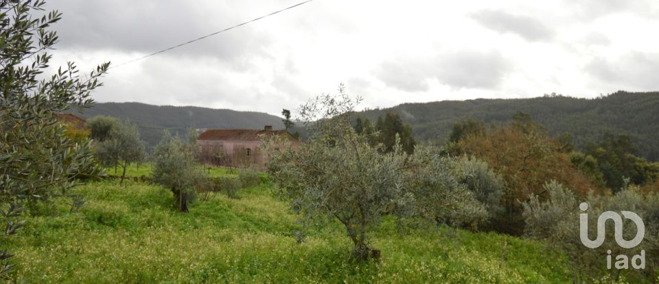 Casa de Campo T2 em Figueiró dos Vinhos e Bairradas de 145 m²