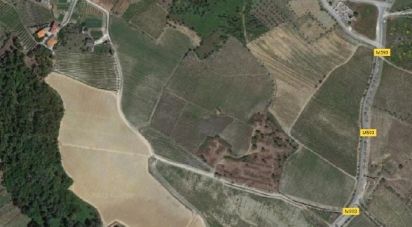 Terreno Agrícola em Poiares e Canelas de 39 500 m²