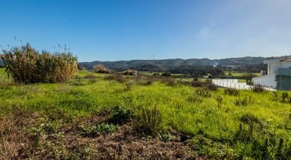 Terrain à Famalicão de 437 m²