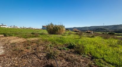 Terrain à Famalicão de 437 m²