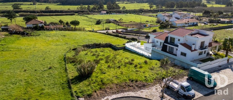 Terrain à Famalicão de 437 m²