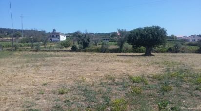 Terrain à bâtir à São Martinho de Antas e Paradela de Guiães de 4 280 m²