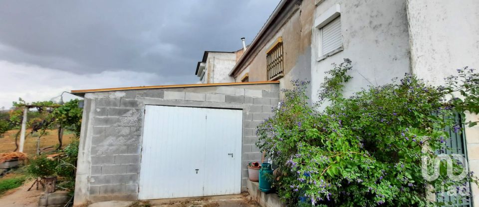 Farm T6 in Gonçalo of 215 m²