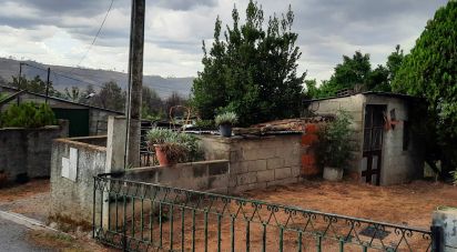 Ferme T6 à Gonçalo de 215 m²