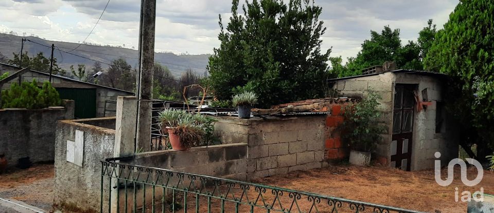 Farm T6 in Gonçalo of 215 m²