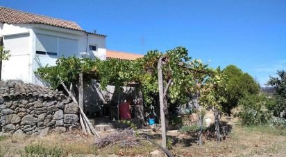 Ferme T6 à Gonçalo de 215 m²