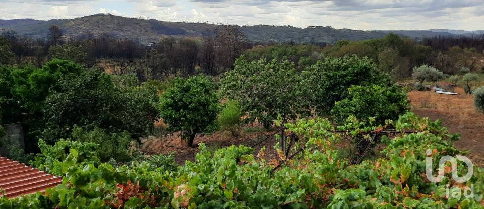 Farm T6 in Gonçalo of 215 m²