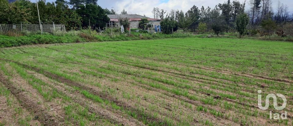 Farm T6 in Gonçalo of 215 m²