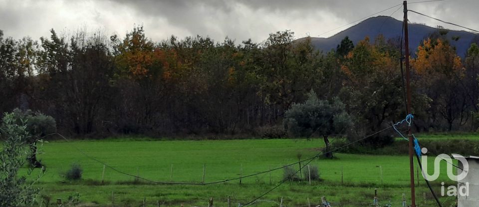 Farm T6 in Gonçalo of 215 m²