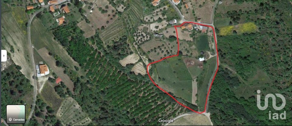 Farm T6 in Gonçalo of 215 m²