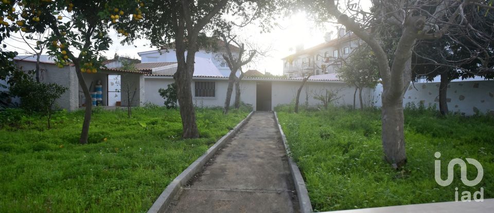 Lodge T6 in Ílhavo (São Salvador) of 390 m²