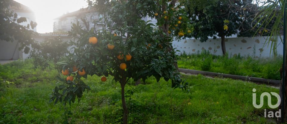 Casa T6 em Ílhavo (São Salvador) de 390 m²