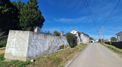 Maison rustique T2 à Vermelha de 256 m²