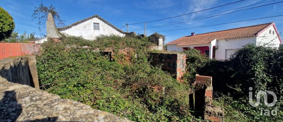Casa de Campo T2 em Vermelha de 256 m²