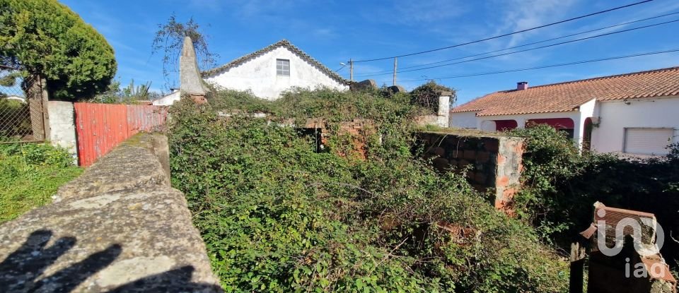 Casa de Campo T2 em Vermelha de 256 m²