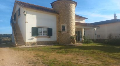 Traditional house T4 in Alguber of 140 m²