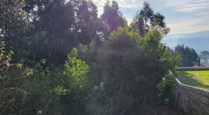 Land in Gandra e Taião of 2,227 m²