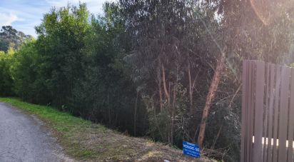 Land in Gandra e Taião of 2,227 m²