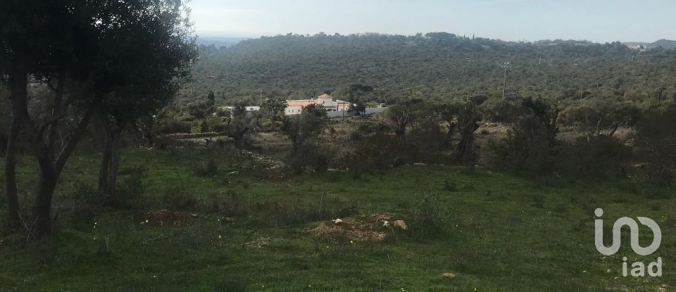 Land in Loulé (São Sebastião) of 4,000 m²