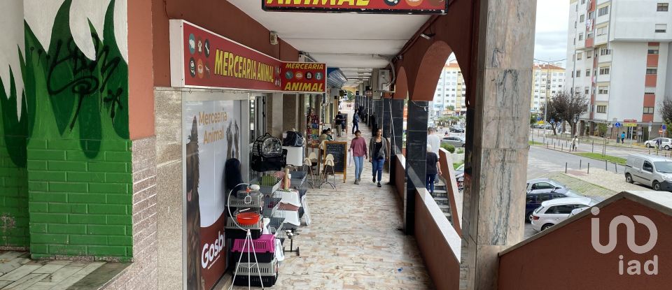 Boutique/Local commercial à Massamá e Monte Abraão de 29 m²