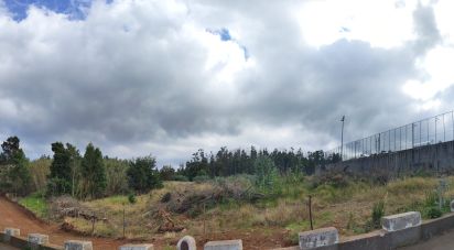 Terrain à Gaula de 18 000 m²