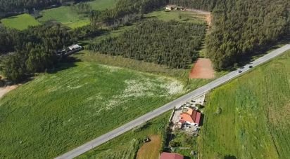 Land in Ramalhal of 13,880 m²