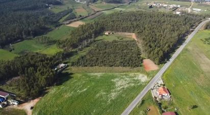 Land in Ramalhal of 13,880 m²