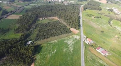 Terrain à Ramalhal de 13 880 m²