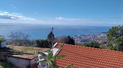 Terrain à Santa Cruz de 960 m²