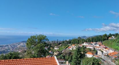 Terrain à Santa Cruz de 960 m²