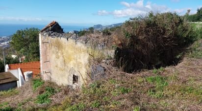 Terrain à Santa Cruz de 960 m²