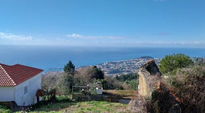 Terrain à Santa Cruz de 960 m²