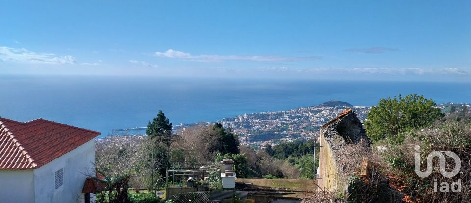 Terrain à Santa Cruz de 960 m²