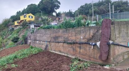 Terrain à Santa Cruz de 2 330 m²