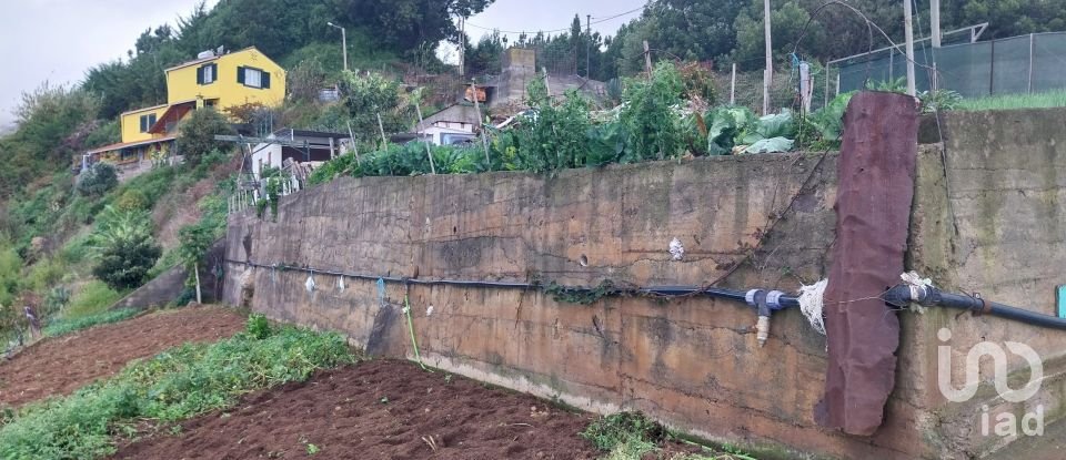 Terreno em Santa Cruz de 2 330 m²