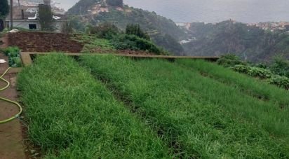 Terrain à Santa Cruz de 2 330 m²