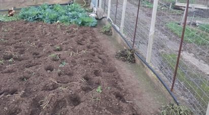 Terrain à Santa Cruz de 2 330 m²