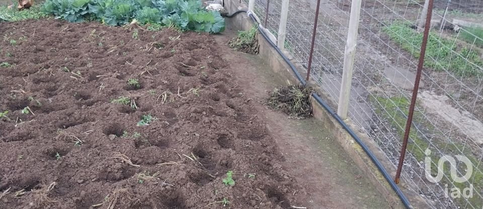 Terreno em Santa Cruz de 2 330 m²