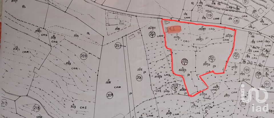 Terreno em Santa Cruz de 2 330 m²