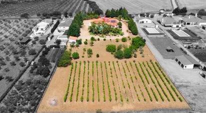 Ferme T4 à Nossa Senhora da Expectação de 438 m²