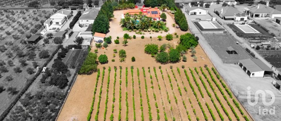 Quinta T4 em Nossa Senhora da Expectação de 438 m²