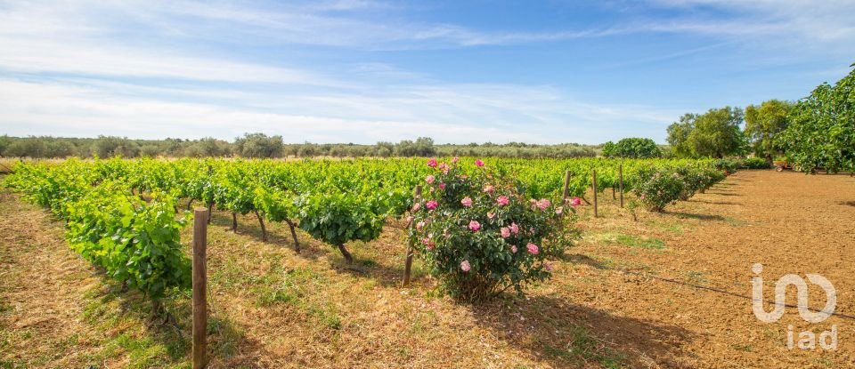 Quinta T4 em Nossa Senhora da Expectação de 438 m²