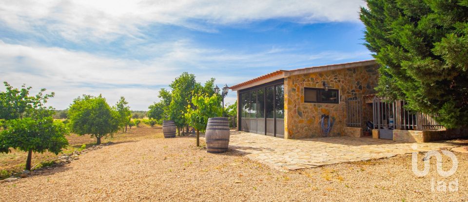 Quinta T4 em Nossa Senhora da Expectação de 438 m²