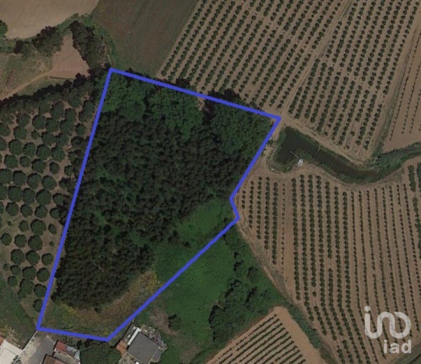 Land in Vilar of 6,520 m²