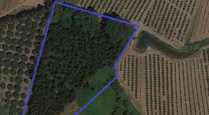 Terrain à Vilar de 6 520 m²